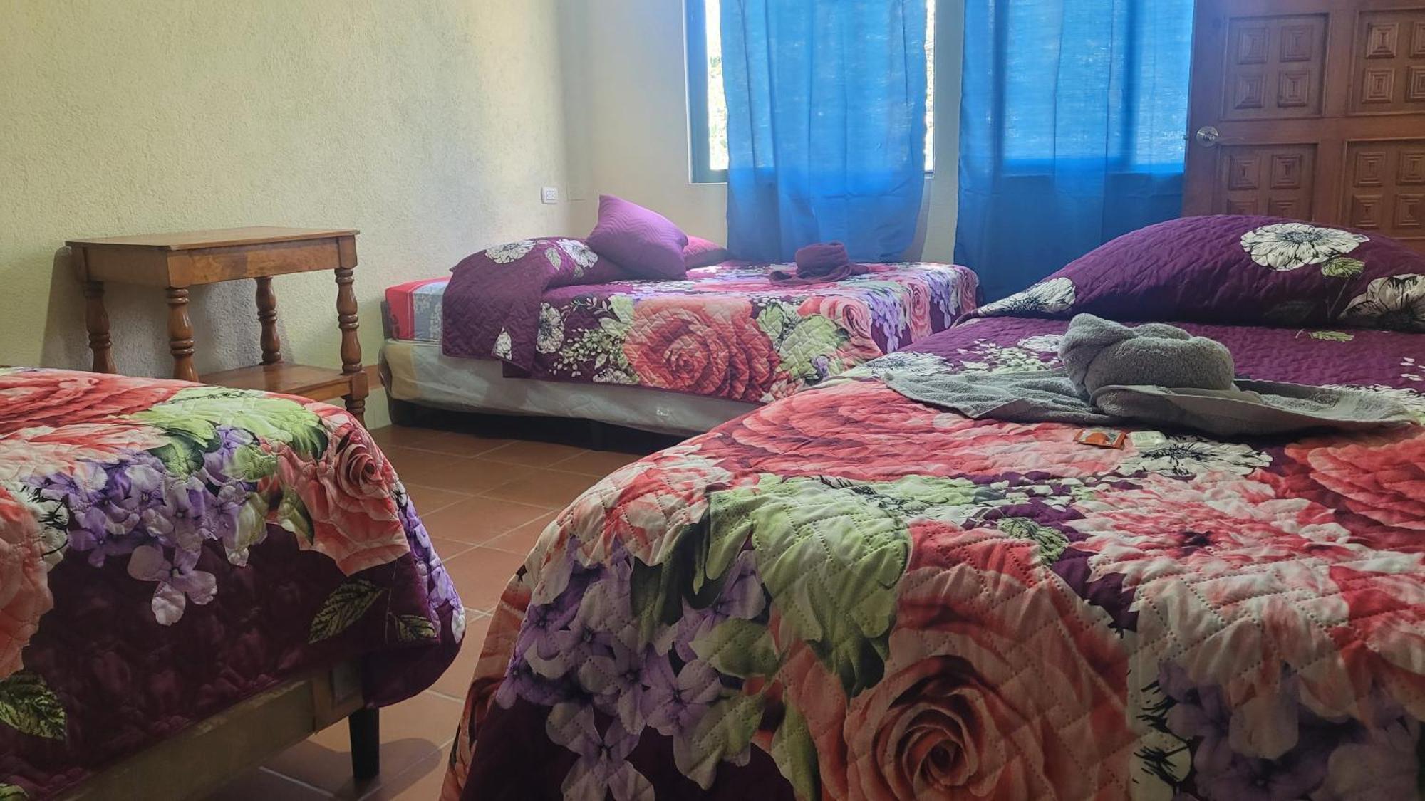 פנחאצ'ל Hostal Sweet Dreams מראה חיצוני תמונה